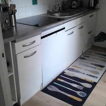 Aleida לה רושל